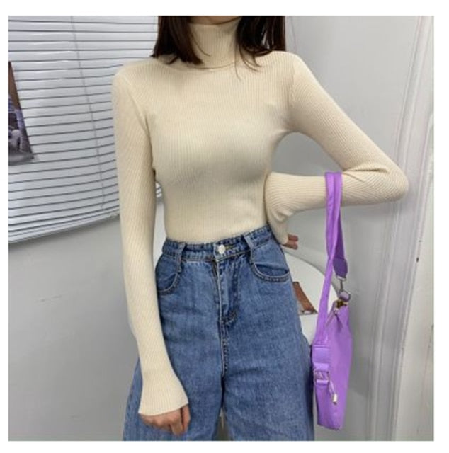Soft Knit Pullover Sweater