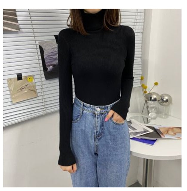 Soft Knit Pullover Sweater