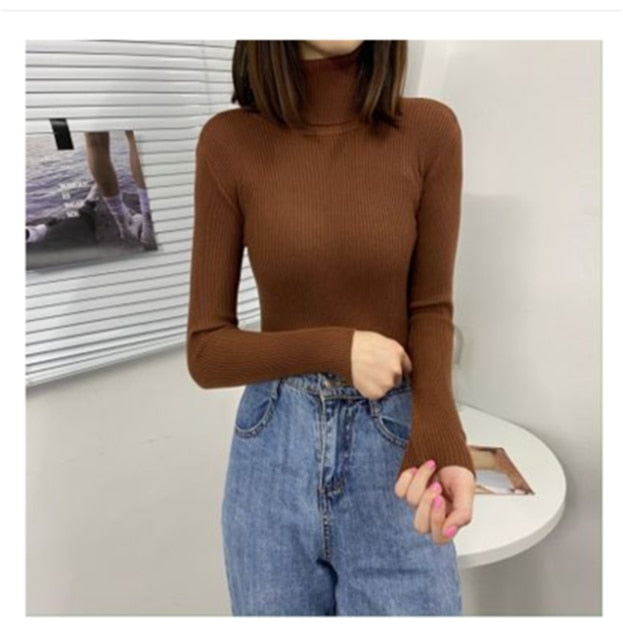 Soft Knit Pullover Sweater