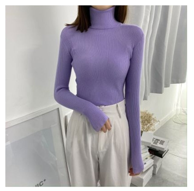 Soft Knit Pullover Sweater