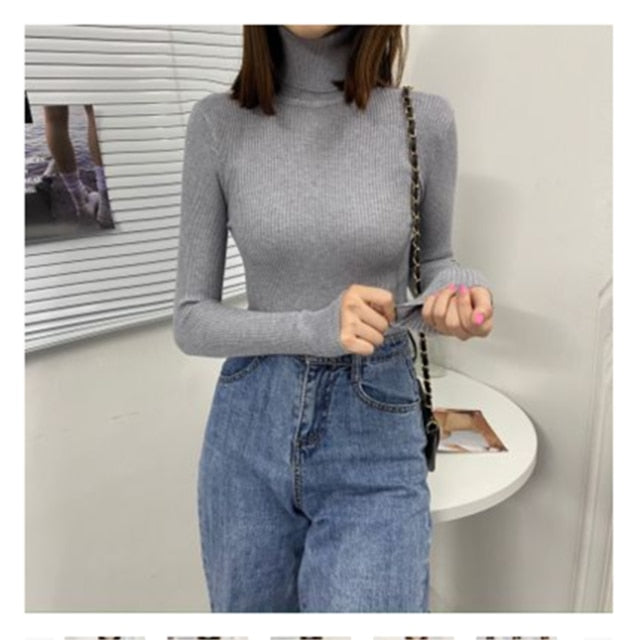 Soft Knit Pullover Sweater