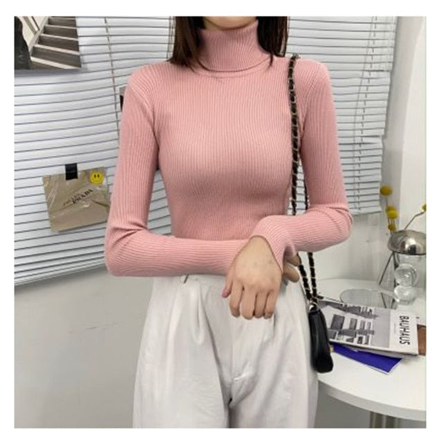 Soft Knit Pullover Sweater