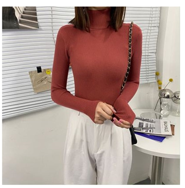 Soft Knit Pullover Sweater