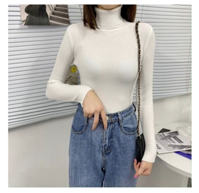 Soft Knit Pullover Sweater