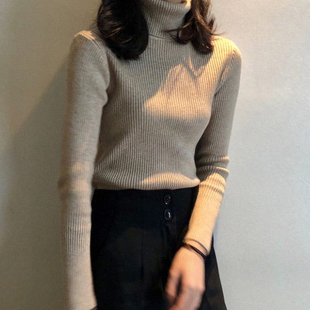 Soft Knit Pullover Sweater